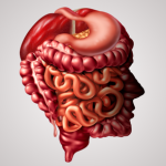 Brain-Gut-Axis-brain-gut-digestive-system-neuroimmune